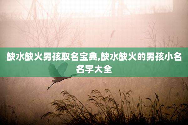 缺水缺火男孩取名宝典,缺水缺火的男孩小名名字大全