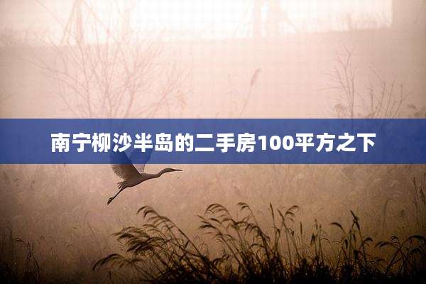 南宁柳沙半岛的二手房100平方之下