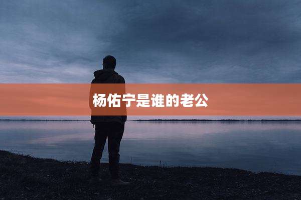 杨佑宁是谁的老公