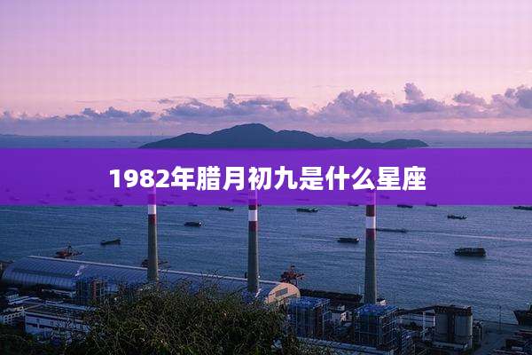 1982年腊月初九是什么星座