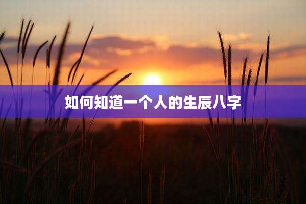如何知道一个人的生辰八字