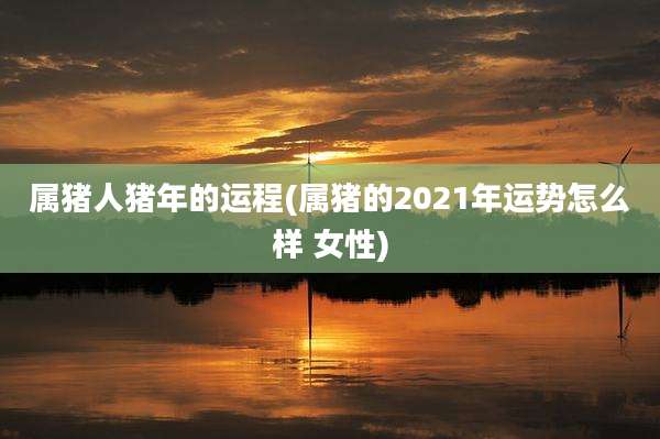 属猪人猪年的运程(属猪的2021年运势怎么样 女性)