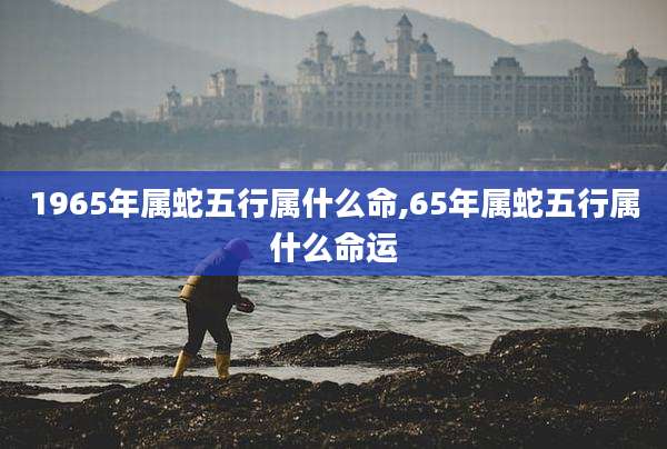 1965年属蛇五行属什么命,65年属蛇五行属什么命运