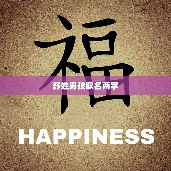 舒姓男孩取名两字