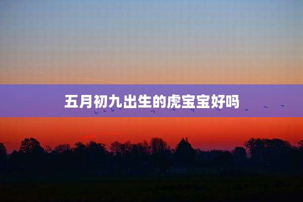 五月初九出生的虎宝宝好吗