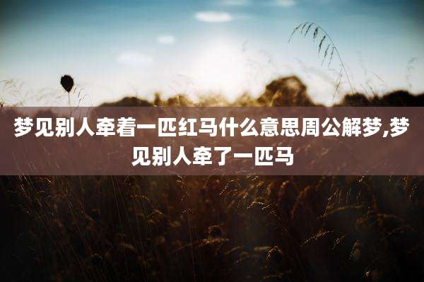 梦见别人牵着一匹红马什么意思周公解梦,梦见别人牵了一匹马