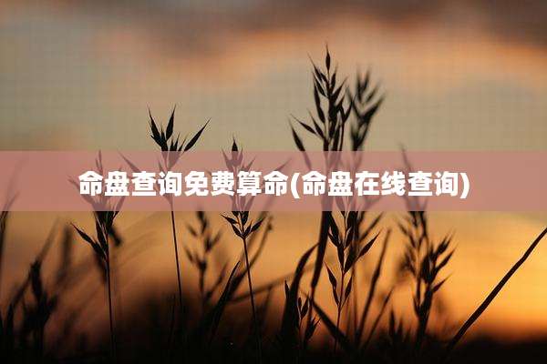 命盘查询免费算命(命盘在线查询)