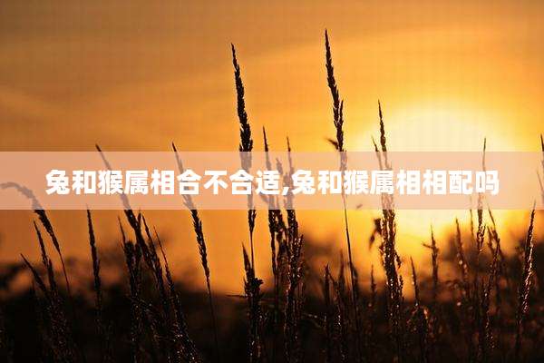 兔和猴属相合不合适,兔和猴属相相配吗