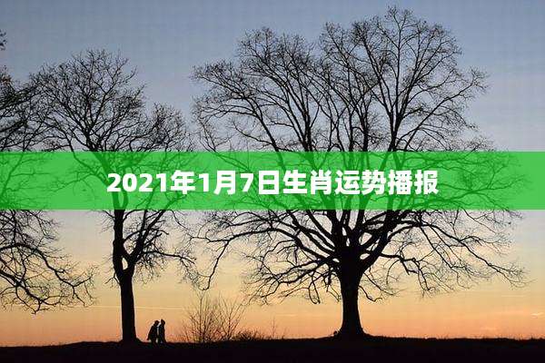2021年1月7日生肖运势播报