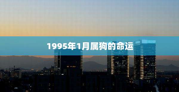 1995年1月属狗的命运