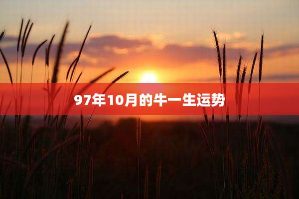 97年10月的牛一生运势