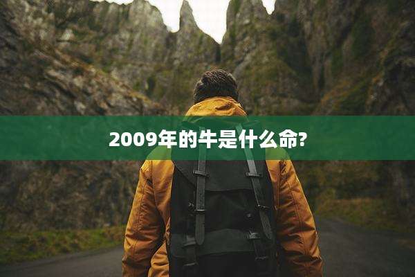 2009年的牛是什么命?