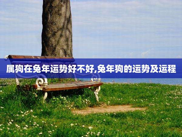 属狗在兔年运势好不好,兔年狗的运势及运程