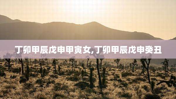 丁卯甲辰戊申甲寅女,丁卯甲辰戊申癸丑