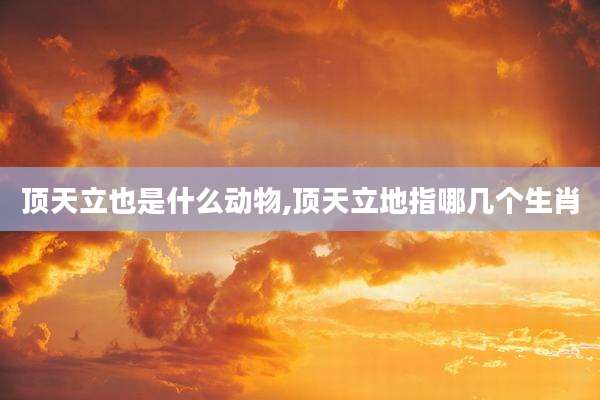 顶天立也是什么动物,顶天立地指哪几个生肖