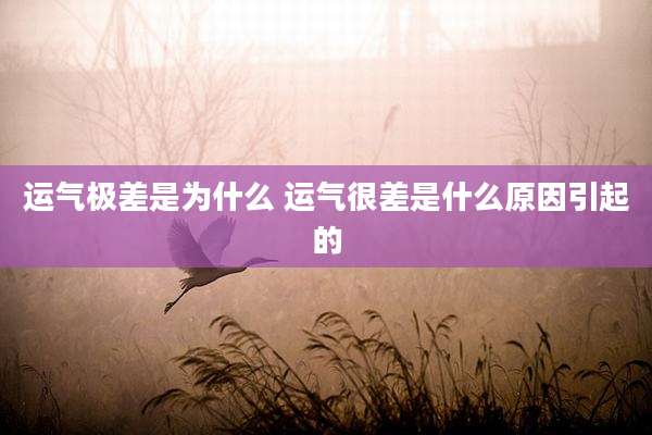 运气极差是为什么 运气很差是什么原因引起的