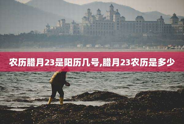 农历腊月23是阳历几号,腊月23农历是多少