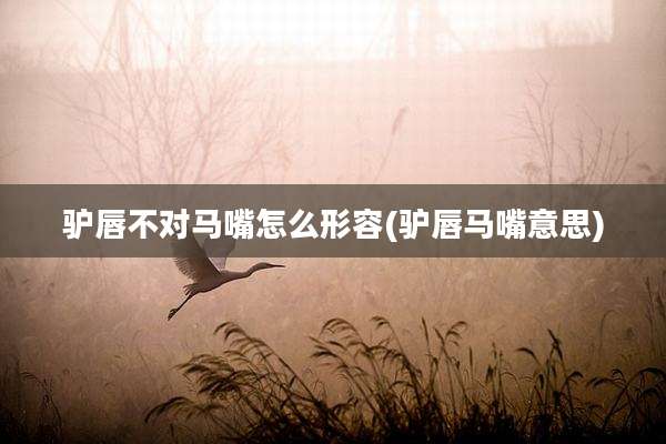 驴唇不对马嘴怎么形容(驴唇马嘴意思)