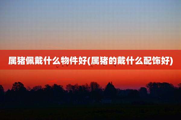 属猪佩戴什么物件好(属猪的戴什么配饰好)