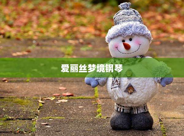 爱丽丝梦境钢琴
