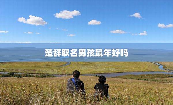 楚辞取名男孩鼠年好吗