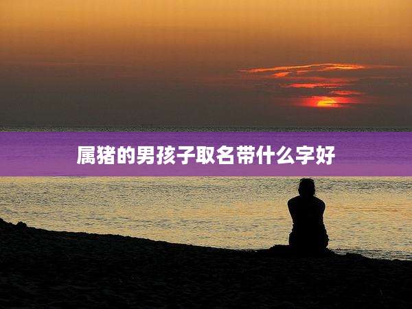 属猪的男孩子取名带什么字好