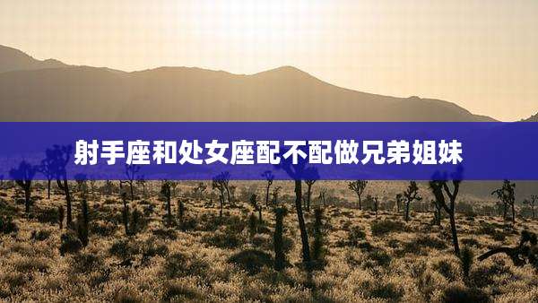 射手座和处女座配不配做兄弟姐妹