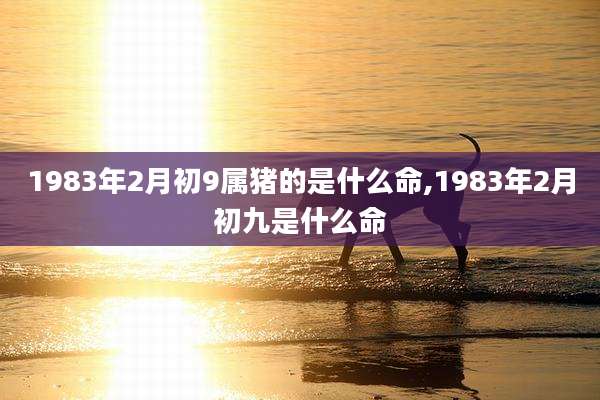 1983年2月初9属猪的是什么命,1983年2月初九是什么命