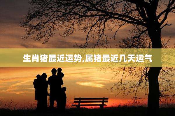 生肖猪最近运势,属猪最近几天运气