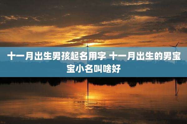 十一月出生男孩起名用字 十一月出生的男宝宝小名叫啥好