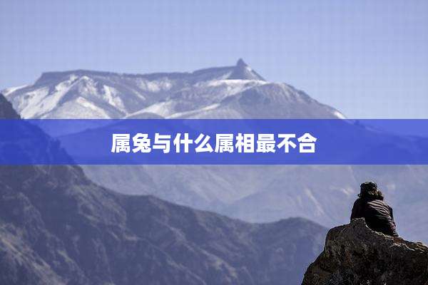 属兔与什么属相最不合