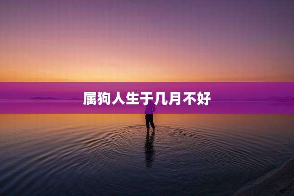 属狗人生于几月不好