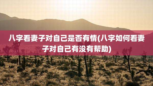 八字看妻子对自己是否有情(八字如何看妻子对自己有没有帮助)