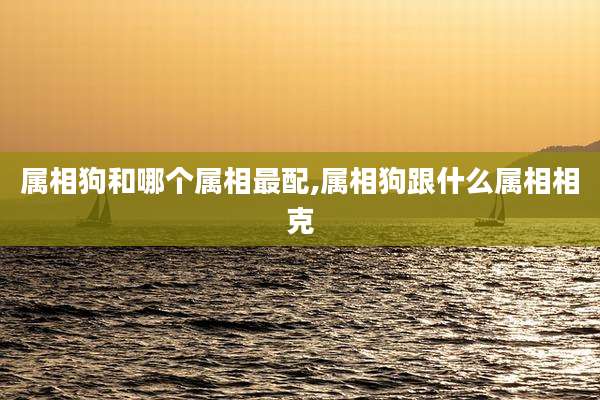 属相狗和哪个属相最配,属相狗跟什么属相相克