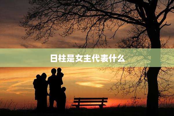 日柱是女主代表什么