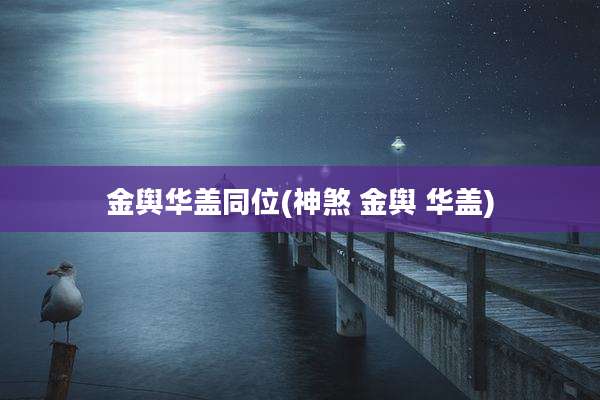金舆华盖同位(神煞 金舆 华盖)