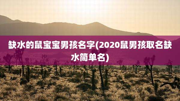 缺水的鼠宝宝男孩名字(2020鼠男孩取名缺水简单名)