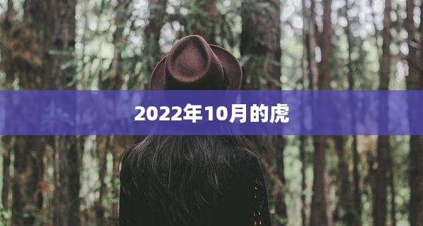 2022年10月的虎