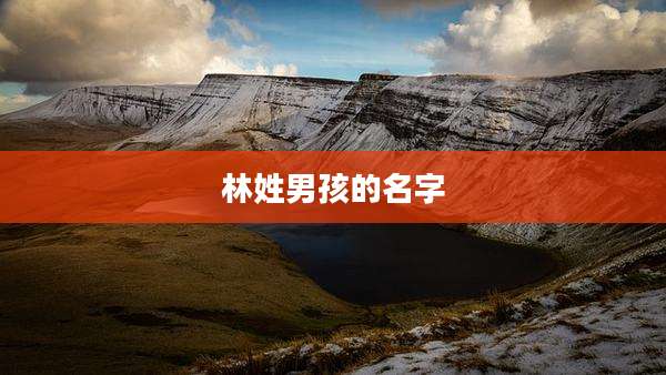 林姓男孩的名字