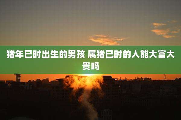 猪年巳时出生的男孩 属猪巳时的人能大富大贵吗