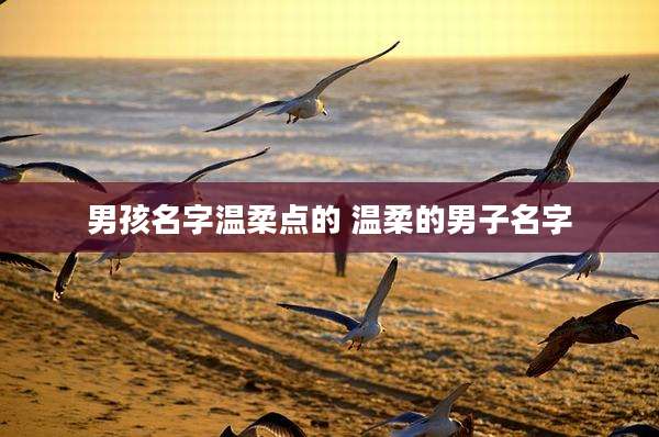 男孩名字温柔点的 温柔的男子名字