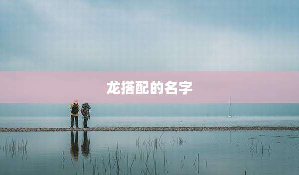 龙搭配的名字