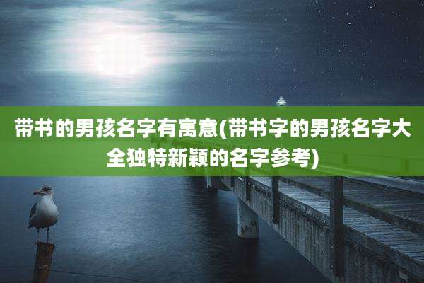 带书的男孩名字有寓意(带书字的男孩名字大全独特新颖的名字参考)