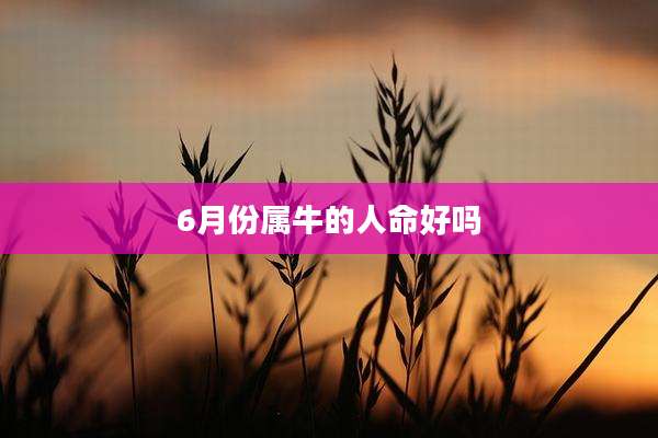 6月份属牛的人命好吗