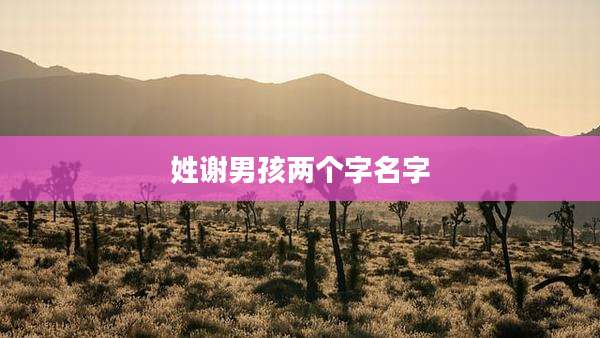 姓谢男孩两个字名字