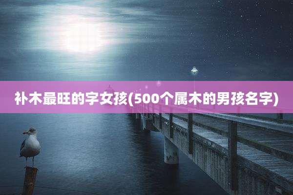 补木最旺的字女孩(500个属木的男孩名字)