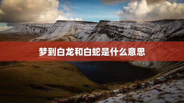 梦到白龙和白蛇是什么意思