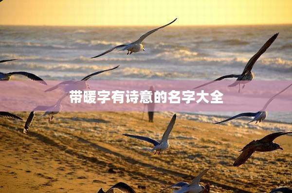 带暖字有诗意的名字大全