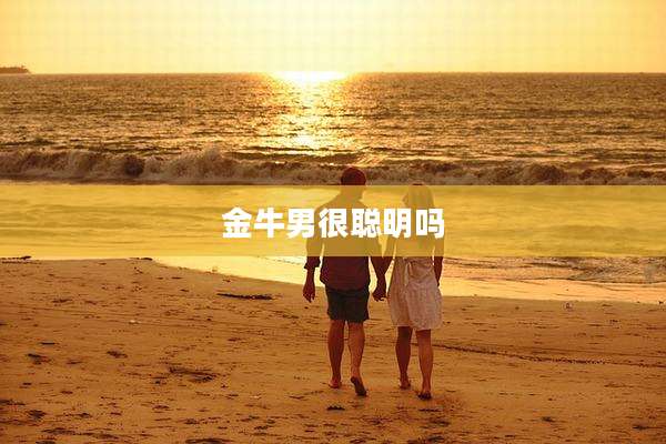金牛男很聪明吗