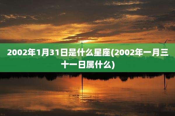 2002年1月31日是什么星座(2002年一月三十一日属什么)
